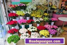 Hoadepsaigon.com  cung cấp hoa tươi đa dạng