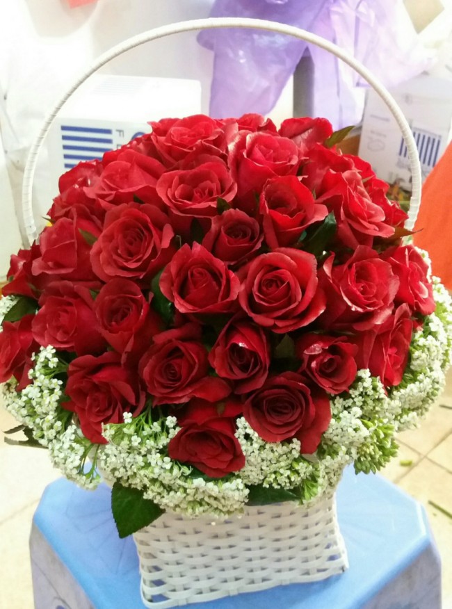 Hoa hồng đỏ tặng sinh nhật vợ