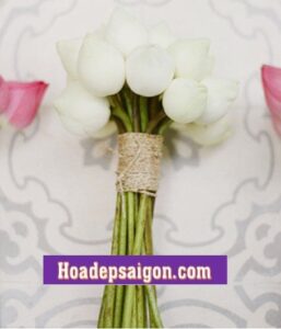 Hoa cưới cầm tay sen trắng - HC24 - 640.000 đ